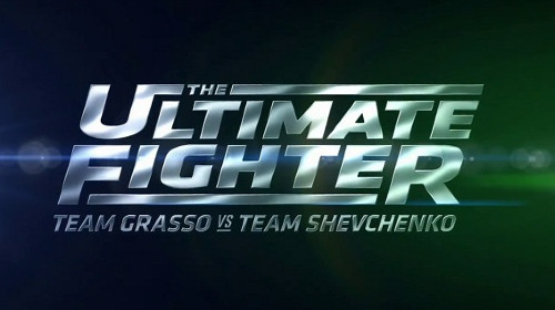 Watch The Ultimate Fighter S32E12 – August 20th 2024